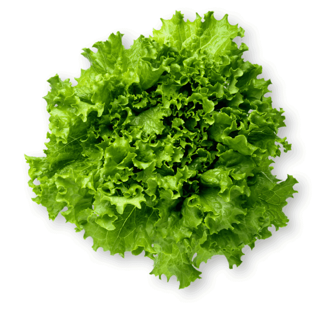 Untitled design (5)_11zon