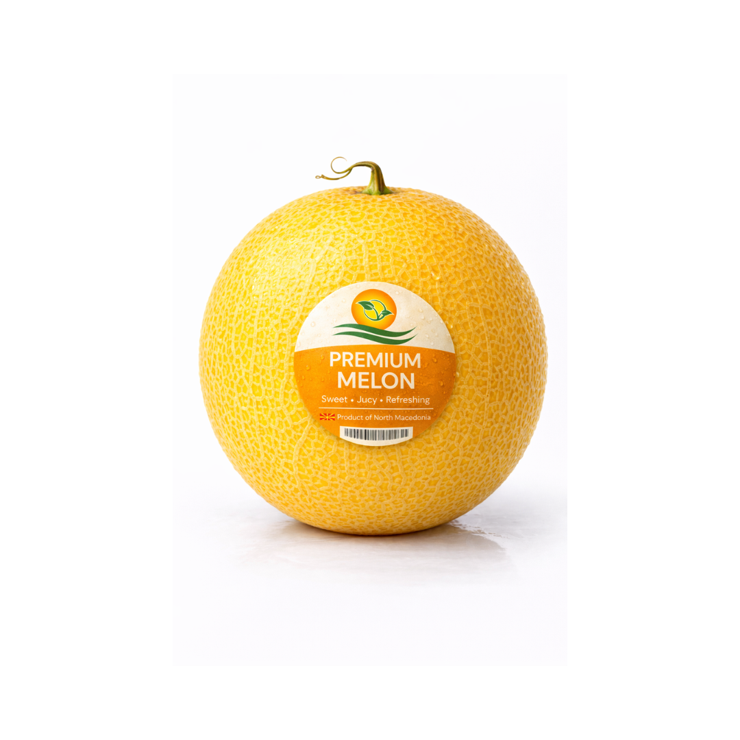 Untitled design (14)