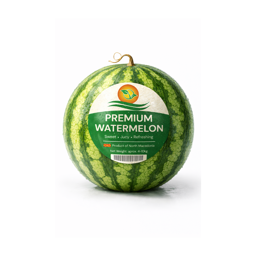 Untitled design (16)