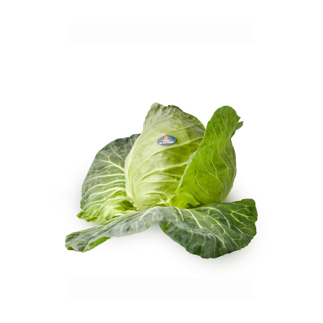 Untitled design (18)