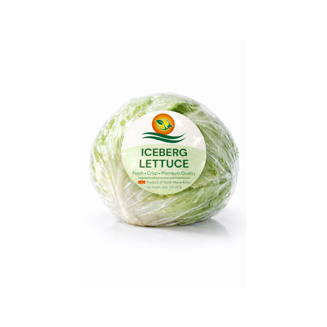 Untitled design (19)