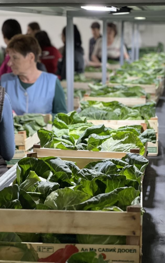 0-02-05-1111092522687c6124ec6db3b6b570194289e8752f267716f417cd605c265204_1c6dc6e48962a5