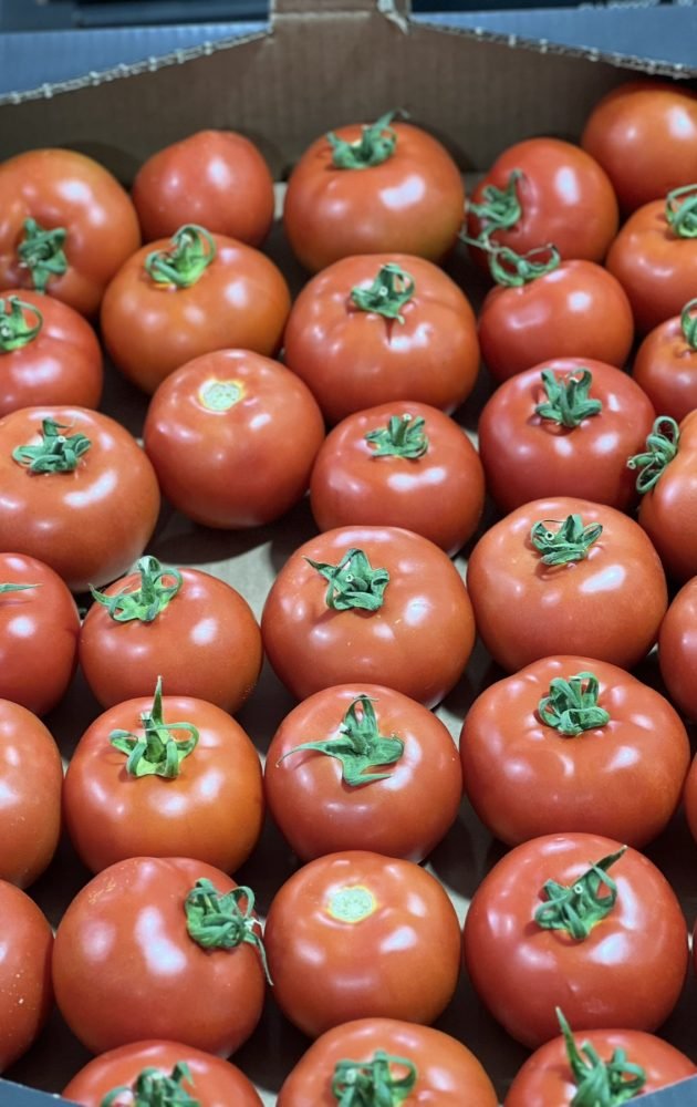 0-02-05-31aac43de4d38b4031788b38d35ca716365296c0cbebf2ed9d8754469482ff11_1c6dc6e4965416 (2)