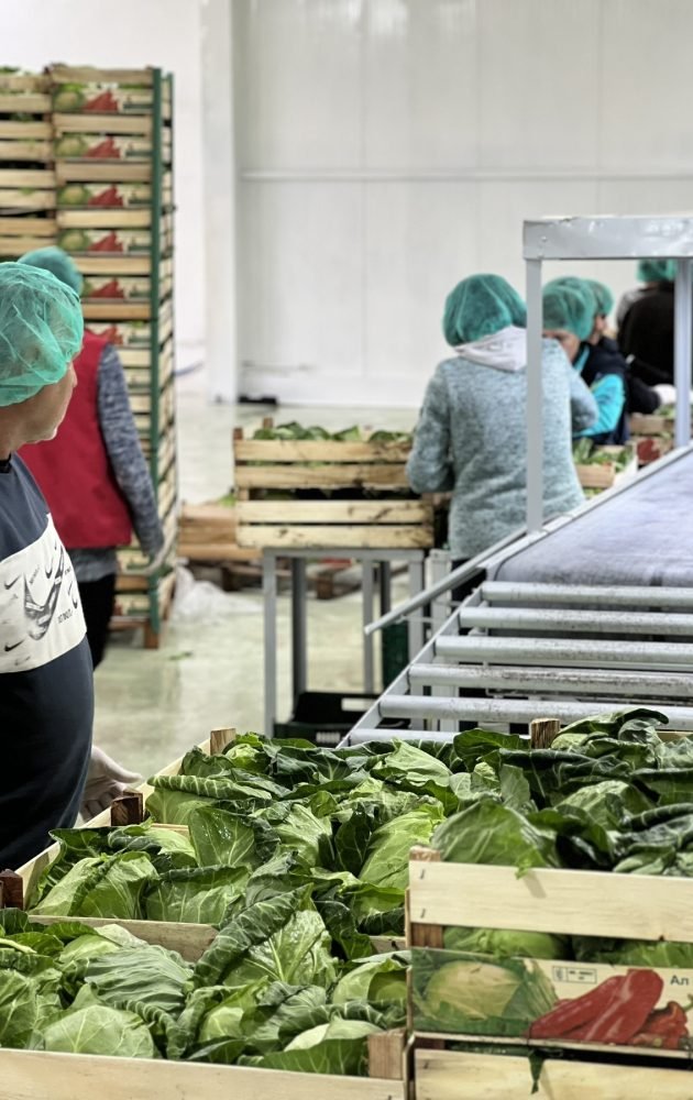 0-02-05-3550c13799663542d305af3e7c569792bcf068ef49bd45396e6ba5a9b4995456_1c6dc6e4969b6e