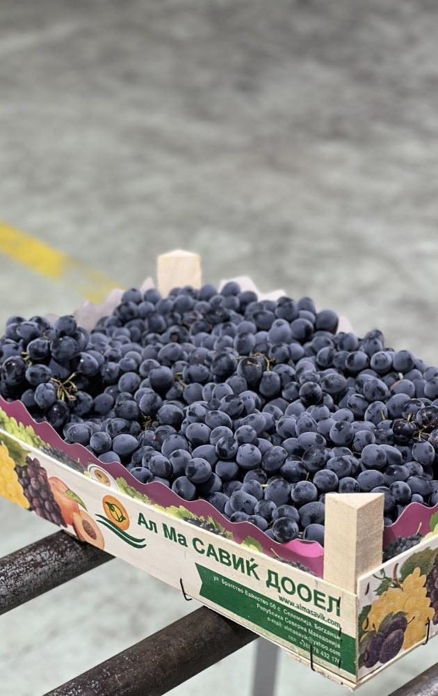 0-02-05-5ae6f20affd3c4bc475bbaf821077fa1f61bb32da9ab440c9c7705fe57db3478_1c6dc6e4952f3c