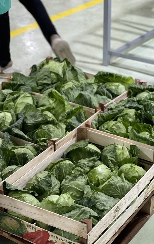 0-02-05-5e6f3d1219717cdc1b6a2bbcd20f00366c0478d3eca2c286597f6661132c2987_1c6dc6e48b12e8