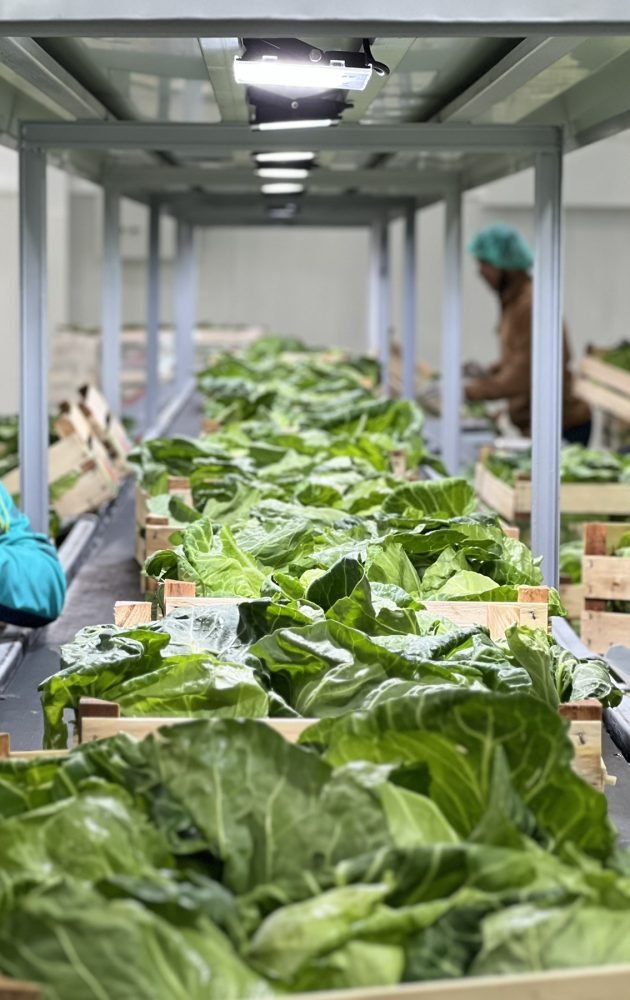 0-02-05-7ee95c7f5101acf63a9fe3ba9c3f9e4d4e266c820313d62b552a1b38194bd149_1c6dc6e496d97e (2)