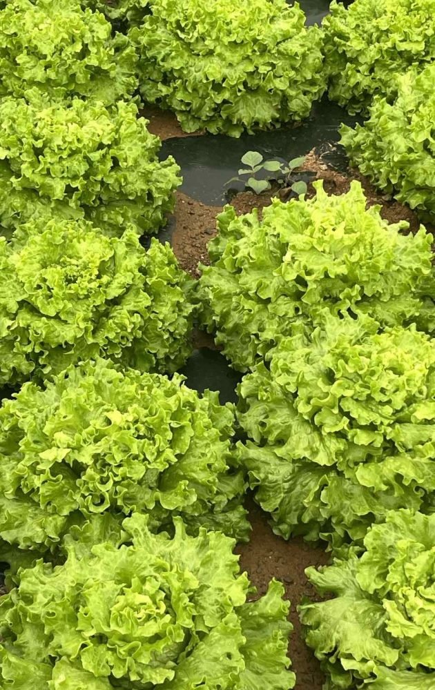 0-02-05-84b5f87c297edca352d6d30b55e160efda2f10225a3a109ceceb0ef8d8722284_1c6dc6e4437dad