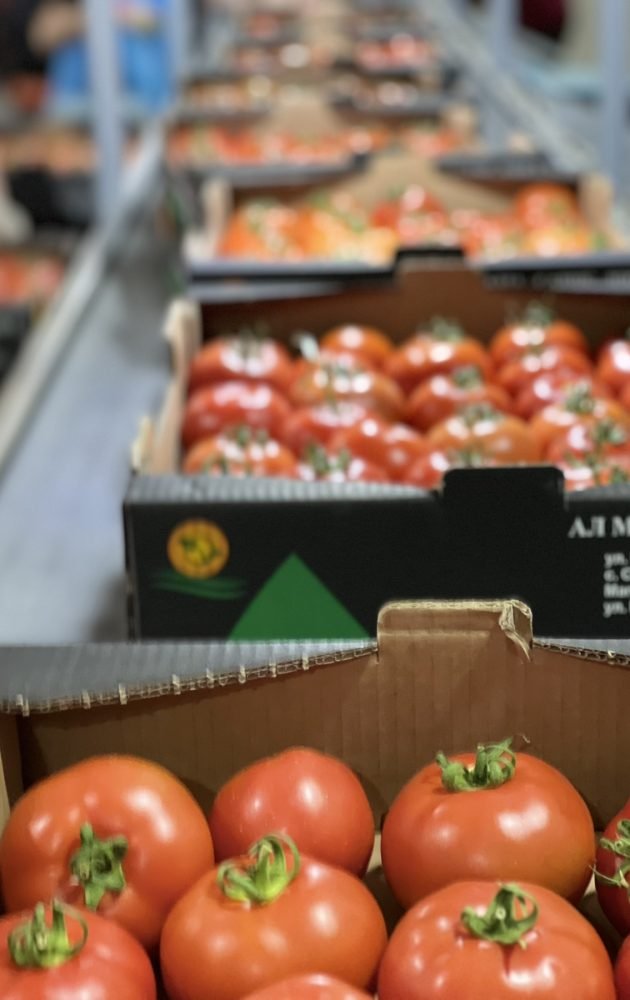 0-02-05-8c877c1a963476ed8b38d5c76a591cc93969aff80941191c0c1174be0cd87751_1c6dc6e496b5ed