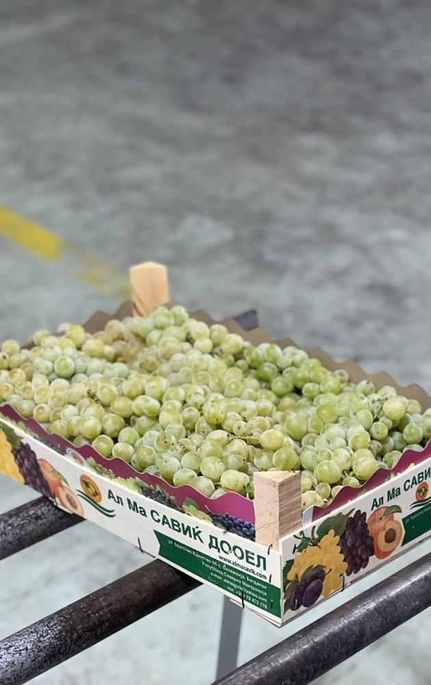 0-02-05-993c725f3e5116aa8b5d9cb64d6ca14a660b0862e4b5d0e9b1f6fc67719755d0_1c6dc6e4953da5