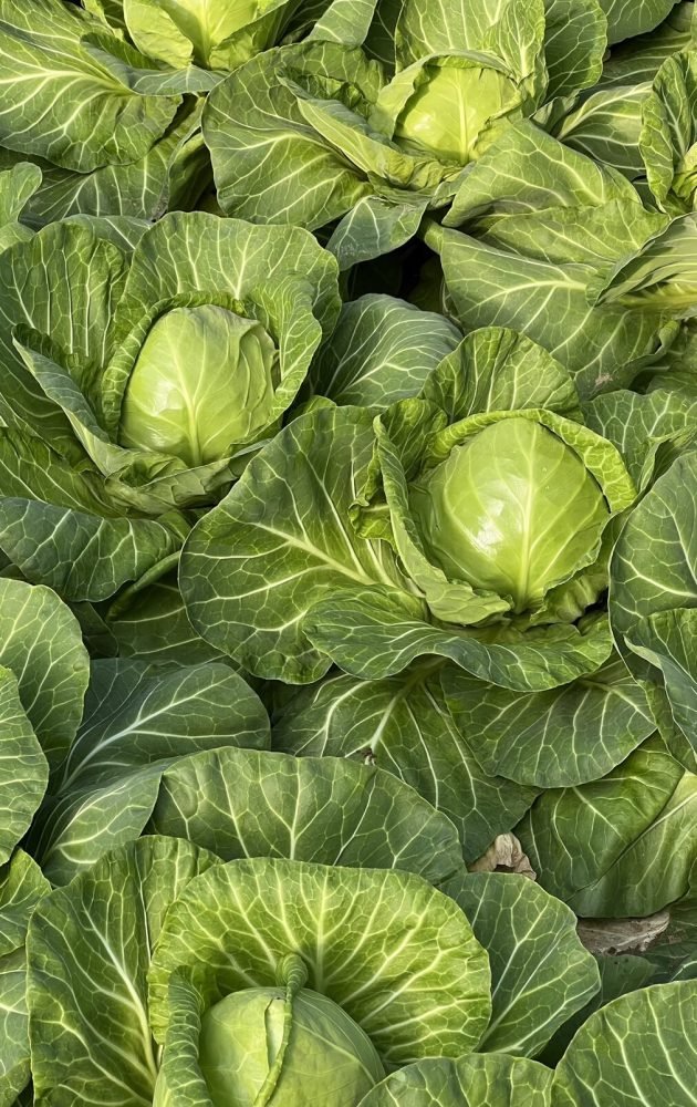 0-02-05-b45db0088777740270b4d72e1c7d397a23f4e9b4a31440862bd454f040343bd7_1c6dc6e489ecba