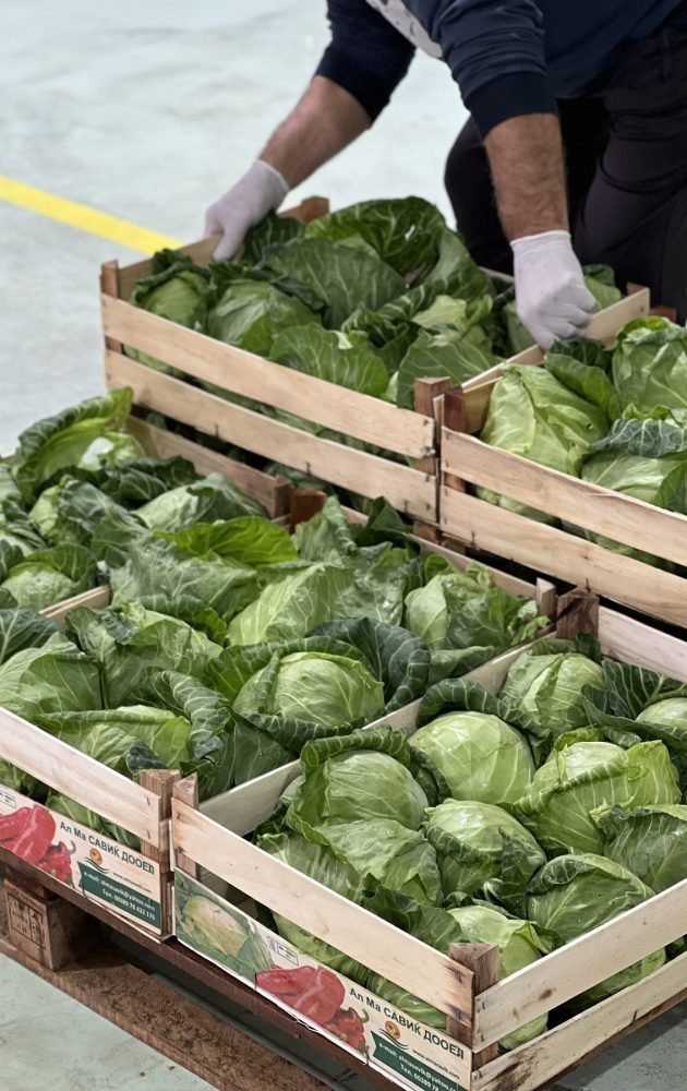 0-02-05-de31effa4cf33f9d15802c7885fec22566160450bc1ec776767a14686ac9c1d3_1c6dc6e4892e3d